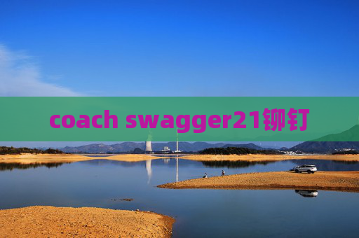 coach swagger21铆钉